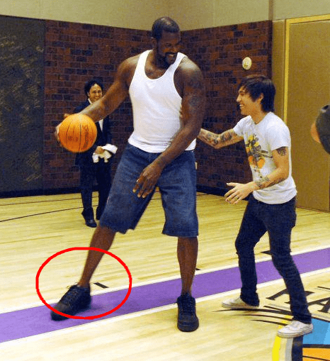 他以抛投或 他以抛投或